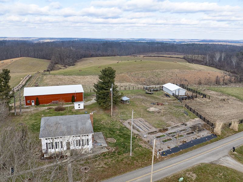 Land Auction, Jackson County, OH : Jackson : Jackson County : Ohio