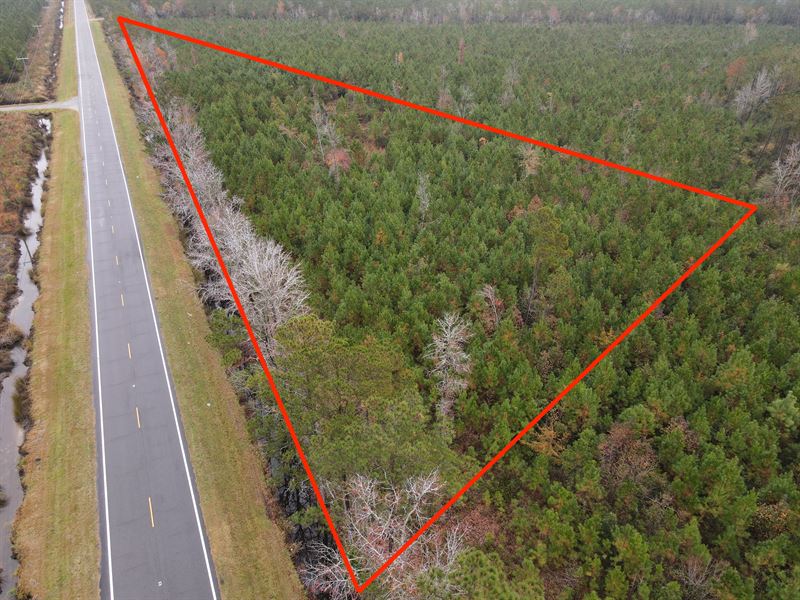 Affordable Hunting Tract : Bayboro : Pamlico County : North Carolina