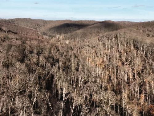 Land Auction, Pike County, OH : Waverly : Pike County : Ohio