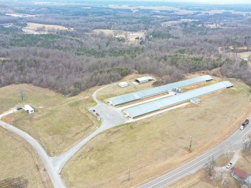 Hill Top Broiler Farm : Town Creek : Lawrence County : Alabama