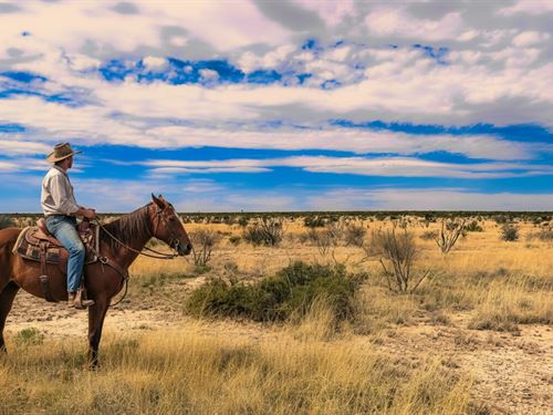 Build Your Personal Texas Ranch : Sierra Blanca : Hudspeth County : Texas