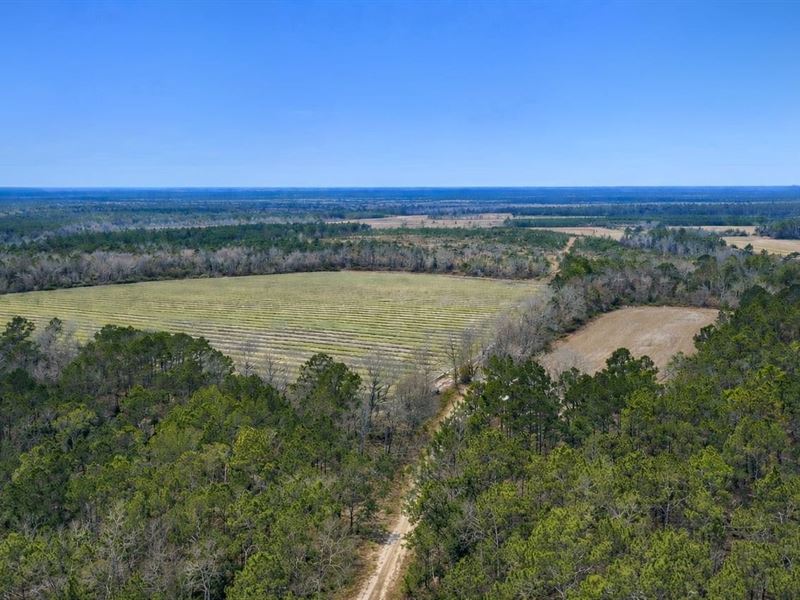 Premier Recreational & Timber Inves : Odum : Wayne County : Georgia