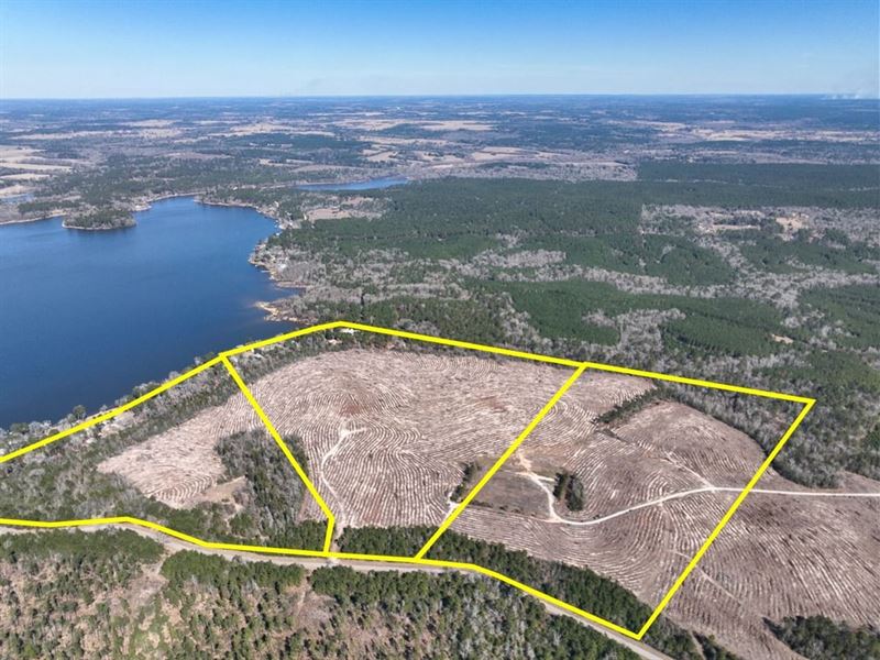 18.5 Acres, T-1, County Road 2140 : Crockett : Houston County : Texas