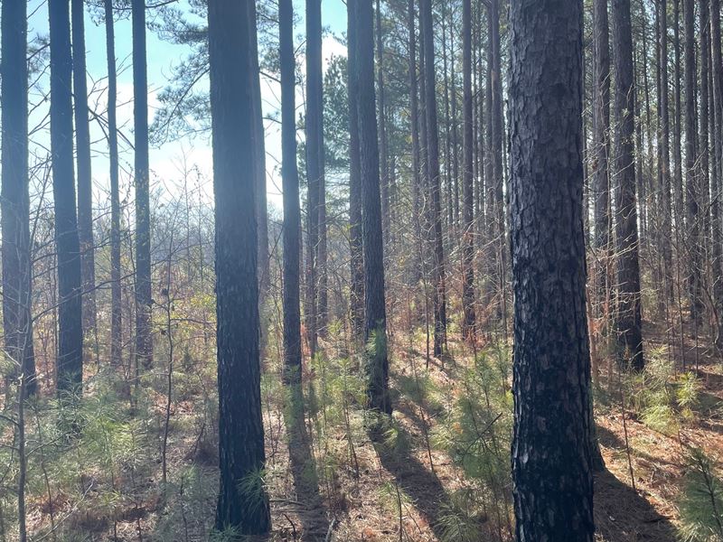 Hebron Church Rd : Thomaston : Upson County : Georgia