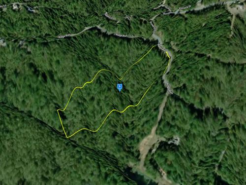 11.5 Acres in Wilkes County NC : Boomer : Wilkes County : North Carolina