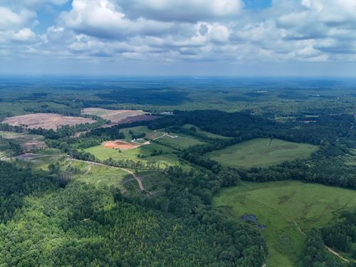 31.77 AC in Itawamba County, MS : Redwater : Itawamba County : Mississippi