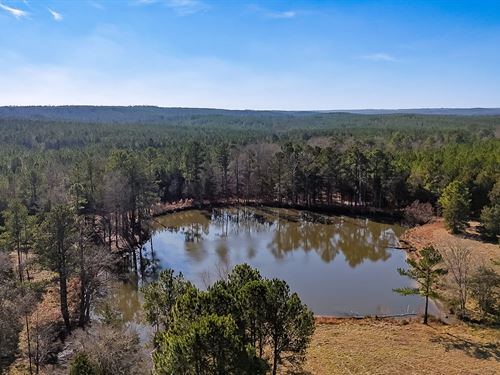 Sandy River West Tract : Carlisle : Chester County : South Carolina