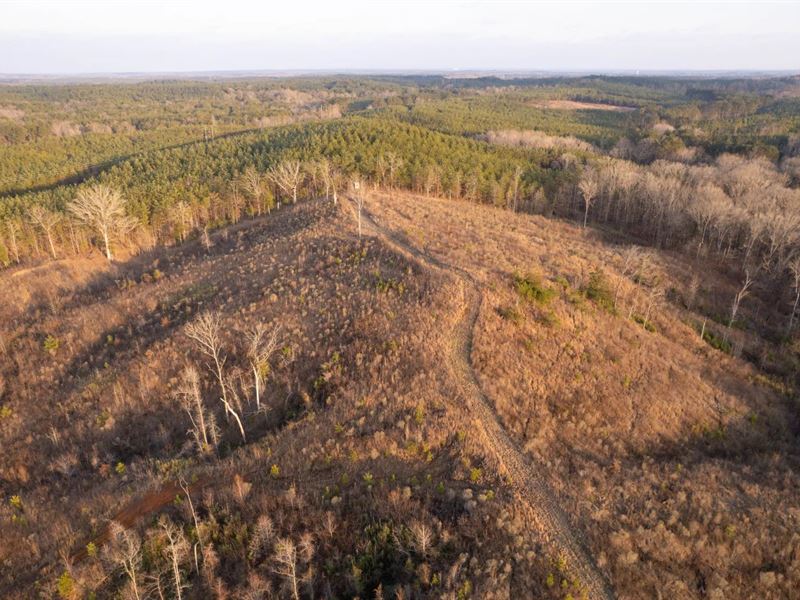 54.43 Acres with a Camp in Attala : Sallis : Attala County : Mississippi