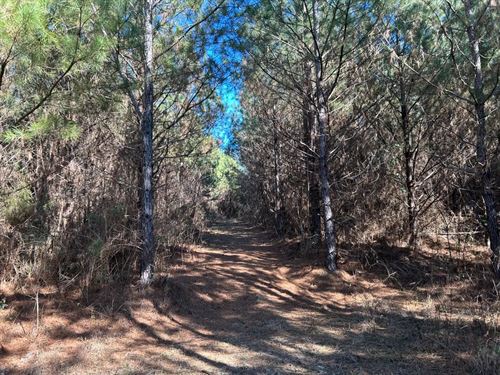 212 Acres in Newton County, MS : Decatur : Newton County : Mississippi