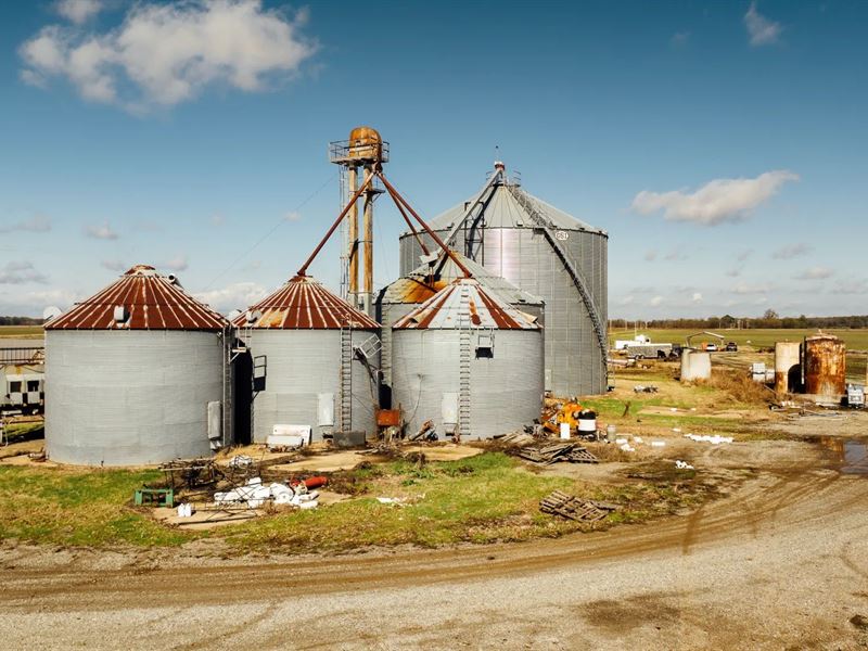 896.81 Acre Farm with a Home in Mon : Holly Grove : Monroe County : Arkansas