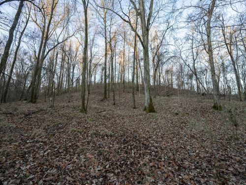 Hunting Land For Sale in Jefferson : Fayette : Jefferson County : Mississippi