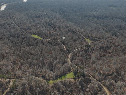 Holloman Tract 1374, Yazoo County : Bentonia : Yazoo County : Mississippi