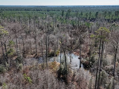 Flat Creek Tract : Hamburg : Ashley County : Arkansas