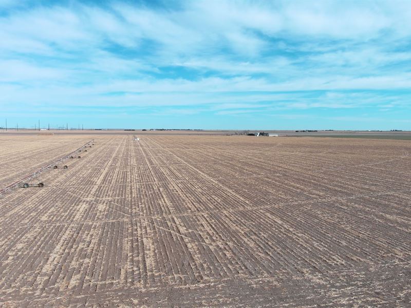 NW Yuma County Pivot Irrigated : Yuma : Yuma County : Colorado