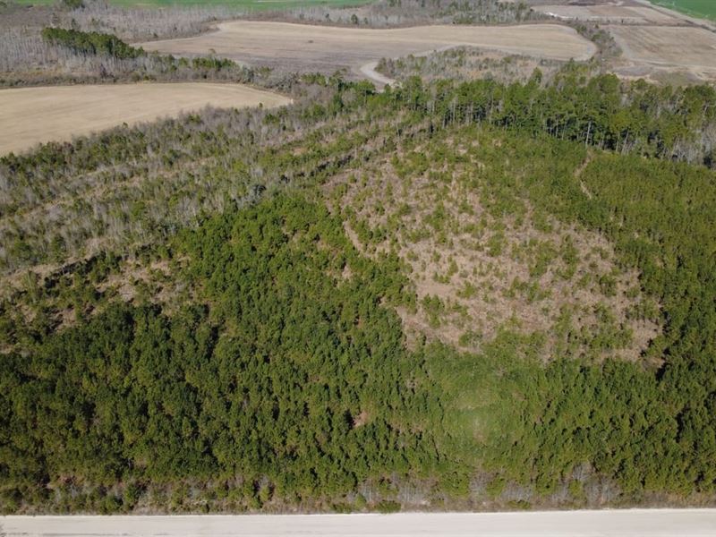 Tract 1, Greyhound Road, Mershon : Mershon : Bacon County : Georgia