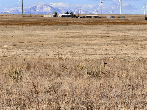 Mulberry North or South : Calhan : El Paso County : Colorado