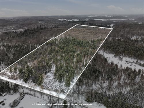 Franz Creek 36 : Leroy : Osceola County : Michigan