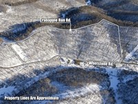 Whetstone Rd, 24 Acres : Mannington : Marion County : West Virginia