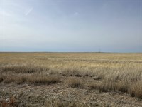 Kiowa County Crp Tract 6 : Haswell : Kiowa County : Colorado