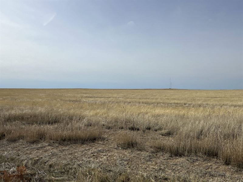 Kiowa County Crp Tract 6 : Haswell : Kiowa County : Colorado