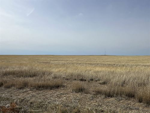 Kiowa County Crp Tract 6 : Haswell : Kiowa County : Colorado