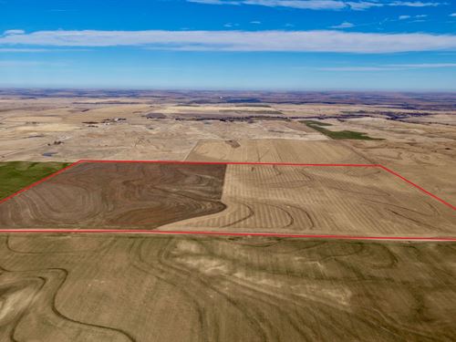 Graham County Tillable : Penokee : Graham County : Kansas