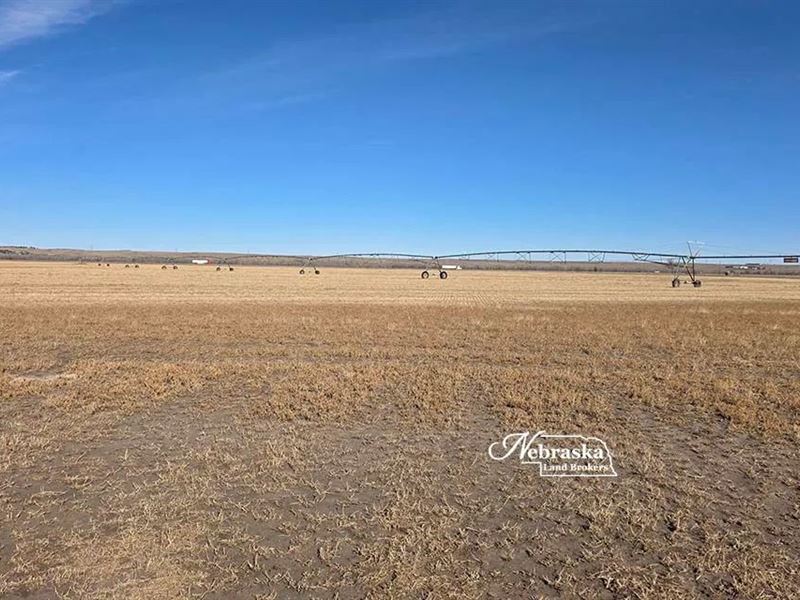 Big Springs Irrigated Farm : Big Springs : Keith County : Nebraska