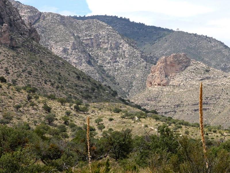 Untouched 10-Acre Southeast Corner : Presidio City : Presidio County : Texas