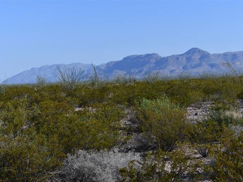 Majestic 10-Acre Northeast Corner : Presidio City : Presidio County : Texas