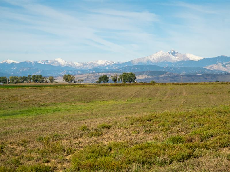 Berthoud Estate Lot : Berthoud : Weld County : Colorado