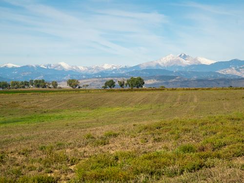 Berthoud Estate Lot : Berthoud : Weld County : Colorado