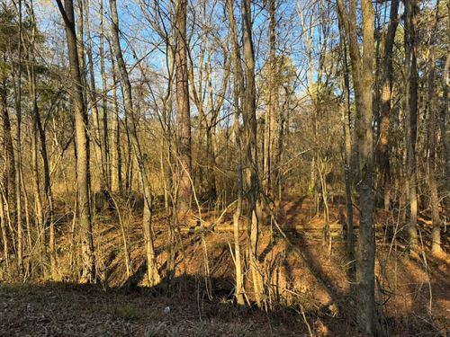 107 Acres in Newton County in Coneh : Conehatta : Newton County : Mississippi