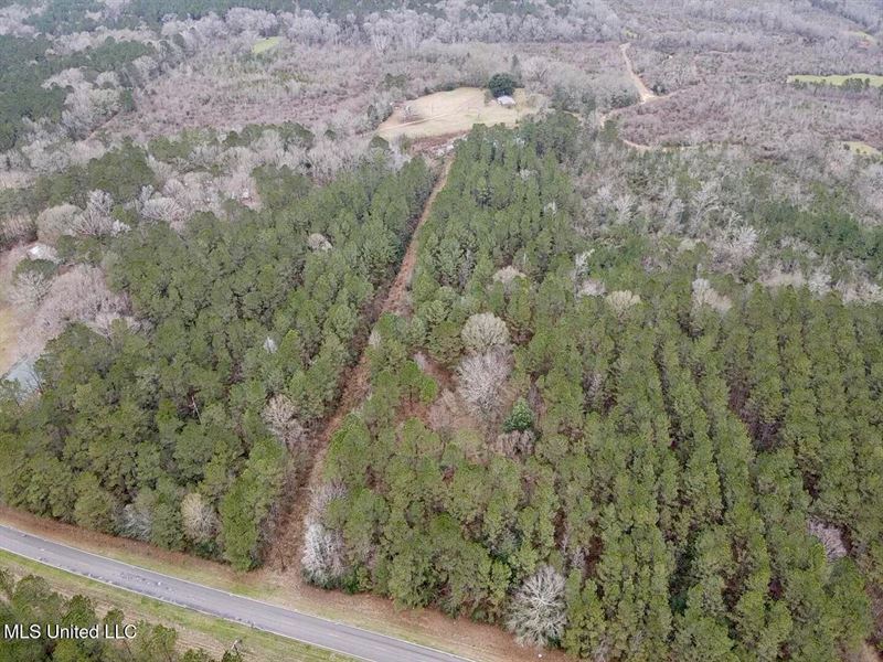 16 Acre Homesite in Magnolia, MS Pi : Magnolia : Pike County : Mississippi