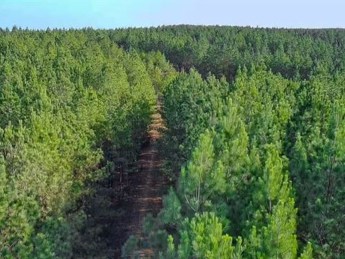 Highway 412 N Tract 2 : Hohenwald : Lewis County : Tennessee