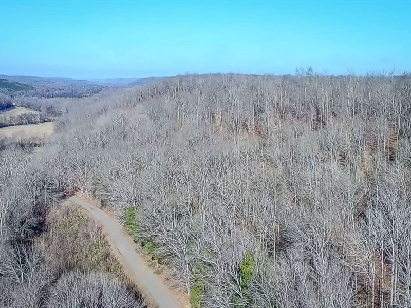 Mayberry Prong Tract : Linden : Perry County : Tennessee