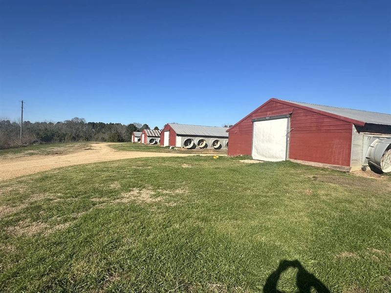 Tnt Broiler Farm : Summit : Amite County : Mississippi