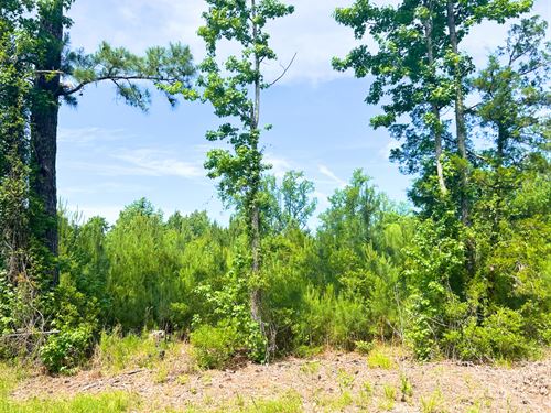 With Creek Views in Oriental, NC : Oriental : Pamlico County : North Carolina