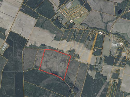 Turnkey Hunting and Beaver Swamp : Windsor : Bertie County : North Carolina