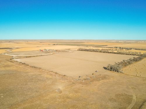 Neilan Cattle Co Irrigated Farm : Minatare : Scotts Bluff County : Nebraska