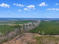 Altamaha Plantation : Glennville : Tattnall County : Georgia