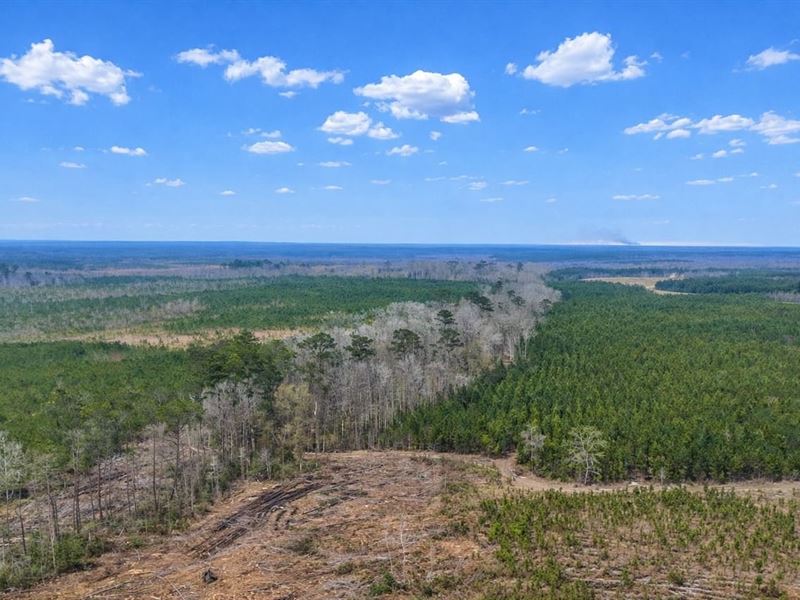 Altamaha Plantation : Glennville : Tattnall County : Georgia