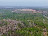 Whitetail Haven Retreat : Glennville : Tattnall County : Georgia