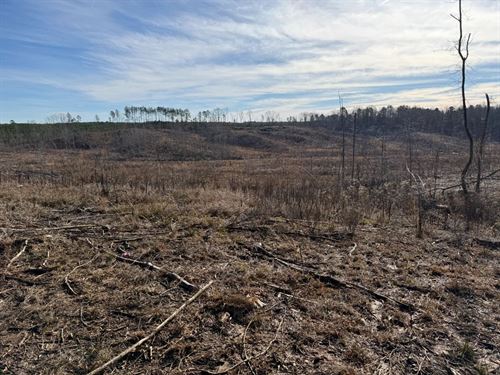 24.1 Acres in Prentiss County, MS : Booneville : Prentiss County : Mississippi