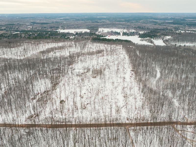 40 Acres Washburn County, WI : Springbrook : Washburn County : Wisconsin