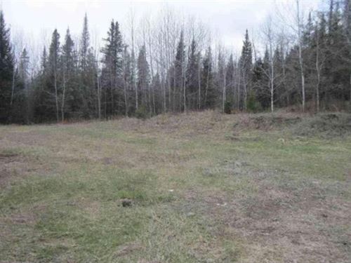 55 Private Acres : Crystal Falls : Iron County : Michigan