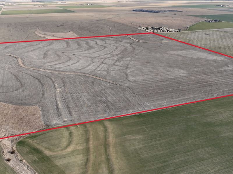 Pawnee County Cropland 155 : Garfield : Pawnee County : Kansas