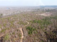 Gillon's Retreat : Saint Matthews : Calhoun County : South Carolina