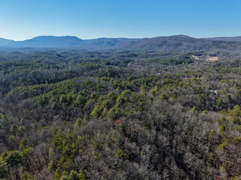 21 Acres in Monroe County, TN : Tellico Plains : Monroe County : Tennessee