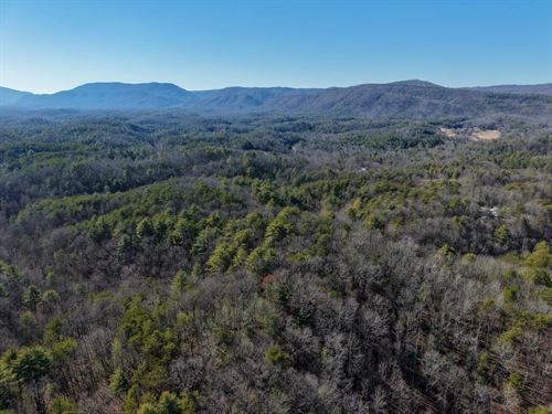 21 Acres in Monroe County, TN : Tellico Plains : Monroe County : Tennessee