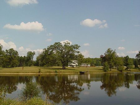Finest Ranch : Greenville : Meriwether County : Georgia